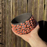 Image 3 of Black Porcelain Amoeba Planter