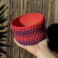 Image 3 of Red/Blue Dotted Planter 2