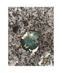 Image of A day at Crystal Crescent 