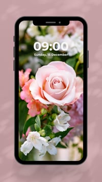 Spring Rose - Phone Wallpaper