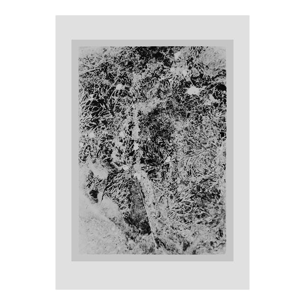 Image of Print: 'Fossil'
