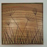 seedheads II