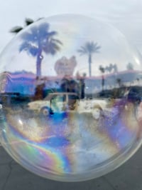 Palm Springs bubble 