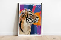 Image of " tiger "