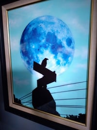 Image 3 of Bird on a Sign with Moon Original