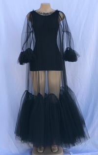 Sheer  Dress "Peekaboo" 