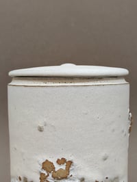 Image 5 of Boîte blanche haute à incrustation rocailleuse
