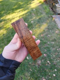 Image 2 of Tasmanian Blackwood 14