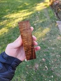 Image 1 of Tasmanian Blackwood 14