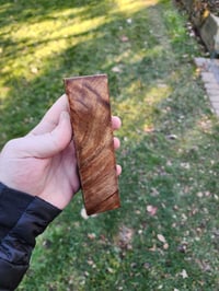 Image 1 of Tasmanian Blackwood 13 