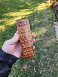 Image 2 of Tasmanian Blackwood 15