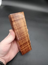 Image 3 of Tasmanian Blackwood 15