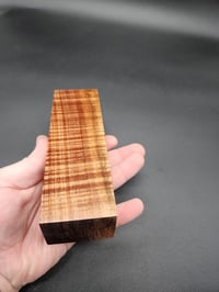 Image 4 of Tasmanian Blackwood 15