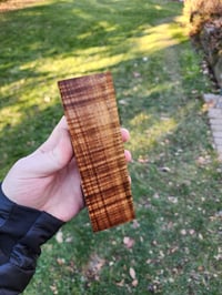 Image 1 of Tasmanian Blackwood 15