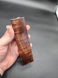 Image 3 of Tasmanian Blackwood 16