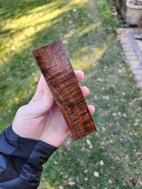 Image 1 of Tasmanian Blackwood 16