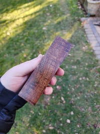 Image 2 of Tasmanian Blackwood 16