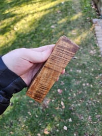 Image 2 of Tasmanian Blackwood 18