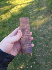 Image 3 of Tasmanian Blackwood 18