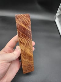 Image 3 of Tasmanian Blackwood 19