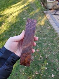 Image 2 of Tasmanian Blackwood 19