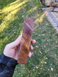Image 1 of Tasmanian Blackwood 19