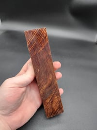 Image 4 of Tasmanian Blackwood 19