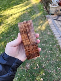 Image 2 of Tasmanian Blackwood 20