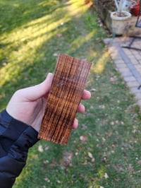 Image 1 of Tasmanian Blackwood 20