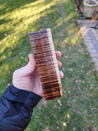 Image 1 of Tasmanian Blackwood 22