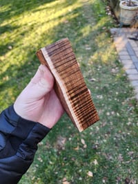 Image 3 of Tasmanian Blackwood 22