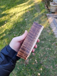 Image 2 of Tasmanian Blackwood 22