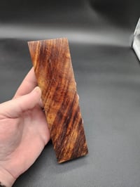 Image 4 of Tasmanian Blackwood 25