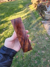 Image 2 of Tasmanian Blackwood 25