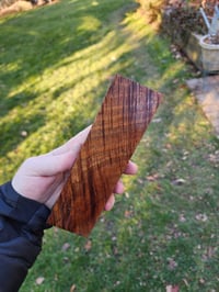 Image 1 of Tasmanian Blackwood 25