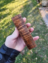 Image 1 of Tasmanian Blackwood 26