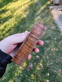 Image 3 of Tasmanian Blackwood 26