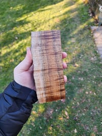 Image 3 of Tasmanian Blackwood 27