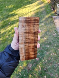 Image 2 of Tasmanian Blackwood 27