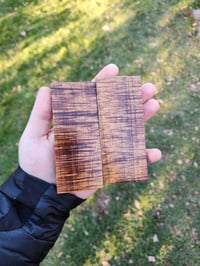 Tasmanian Blackwood 28