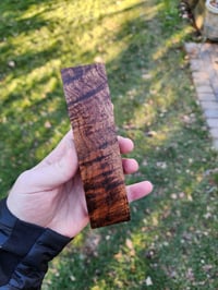 Image 3 of Tasmanian Blackwood 29