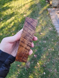 Image 1 of Tasmanian Blackwood 29