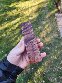 Image 2 of Tasmanian Blackwood 29
