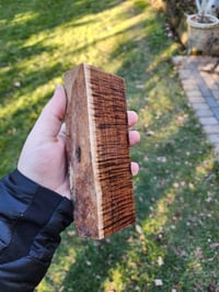 Image 3 of Tasmanian Blackwood 30