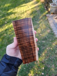 Image 1 of Tasmanian Blackwood 30