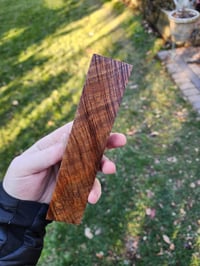 Image 1 of Tasmanian Blackwood 31