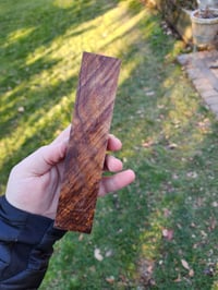 Image 2 of Tasmanian Blackwood 31