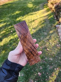Image 2 of Tasmanian Blackwood 32