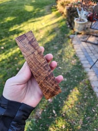 Image 3 of Tasmanian Blackwood 33