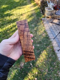 Image 2 of Tasmanian Blackwood 33